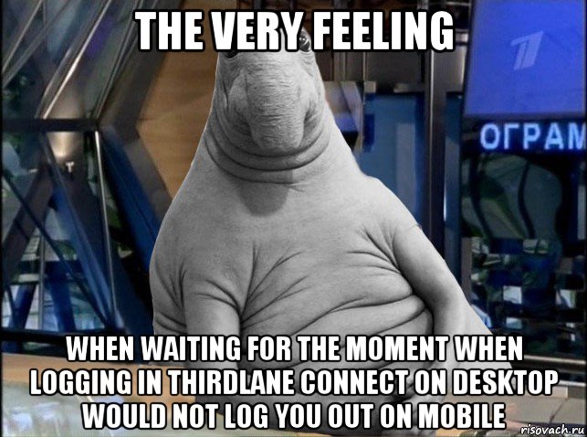 the very feeling when waiting for the moment when logging in thirdlane connect on desktop would not log you out on mobile