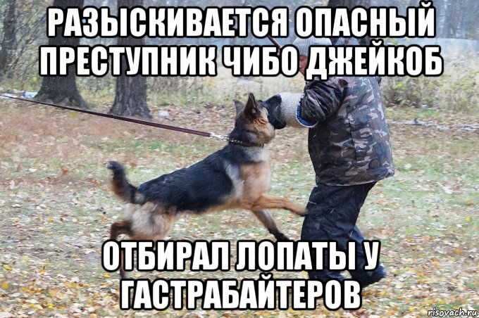 разыскивается опасный преступник чибо джейкоб отбирал лопаты у гастрабайтеров, Мем Опасный преступник Джейкоб