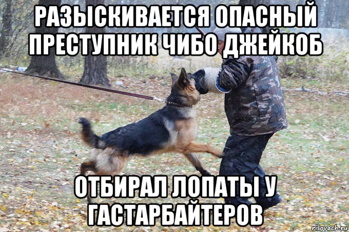 разыскивается опасный преступник чибо джейкоб отбирал лопаты у гастарбайтеров, Мем Опасный преступник Джейкоб