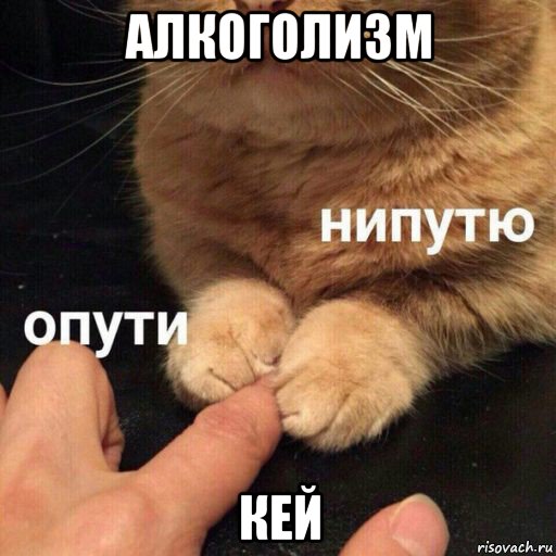 алкоголизм кей