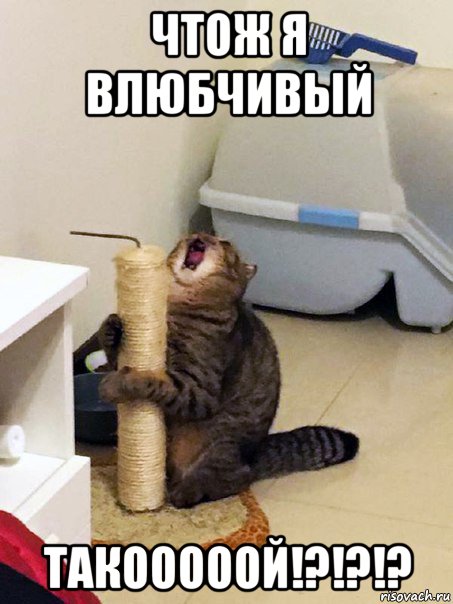 чтож я влюбчивый такооооой!?!?!?