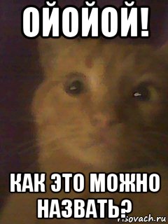 ойойой! как это можно назвать?