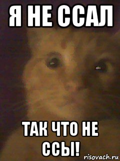 я не ссал так что не ссы!