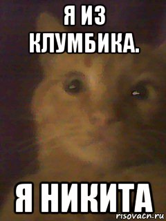 я из клумбика. я никита