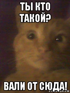 ты кто такой? вали от сюда!