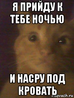я прийду к тебе ночью и насру под кровать