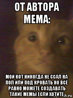 от автора мема: мой кот никогда не ссал на пол или под кровать но всё равно можете создавать такие мемы если хотите