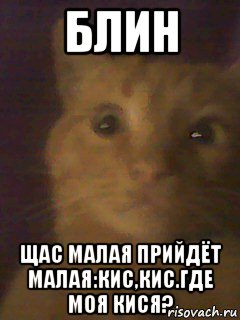 блин щас малая прийдёт малая:кис,кис.где моя кися?