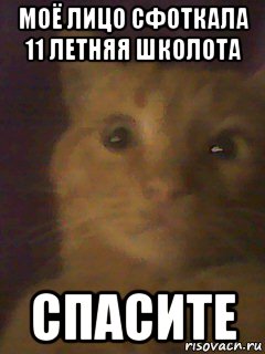 моё лицо сфоткала 11 летняя школота спасите