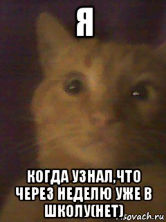 я когда узнал,что через неделю уже в школу(нет)
