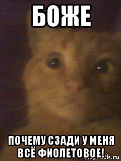 боже почему сзади у меня всё фиолетовое!