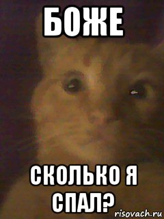 боже сколько я спал?