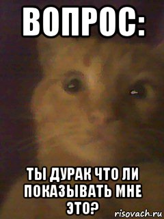 вопрос: ты дурак что ли показывать мне это?