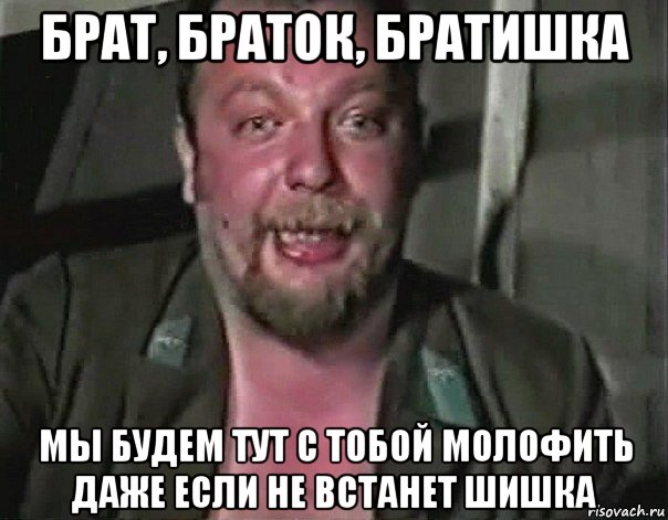 брат, браток, братишка мы будем тут с тобой молофить даже если не встанет шишка