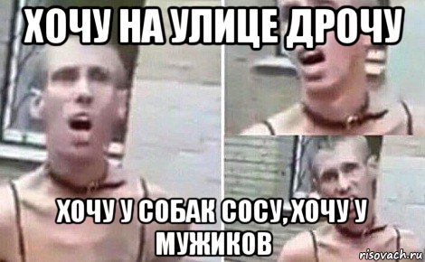 хочу на улице дрочу хочу у собак сосу, хочу у мужиков, Мем Панин