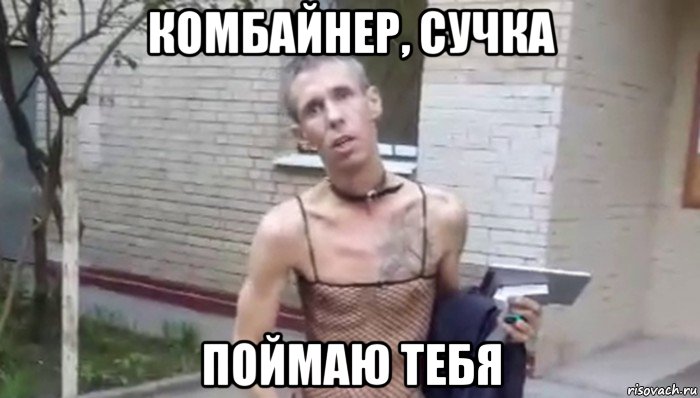 комбайнер, сучка поймаю тебя, Мем Панин