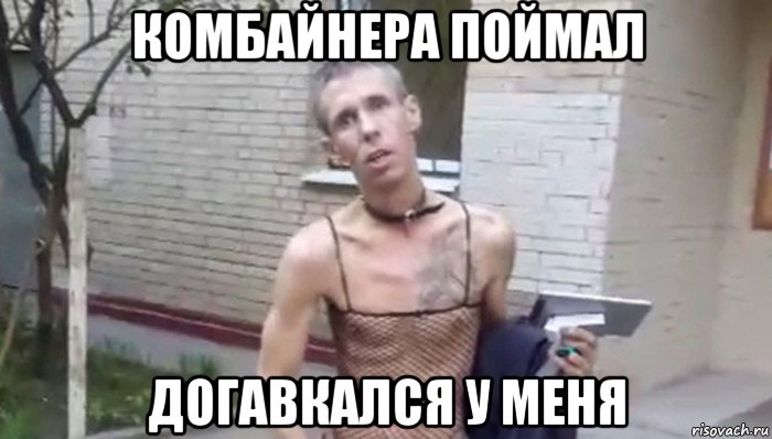 комбайнера поймал догавкался у меня, Мем Панин