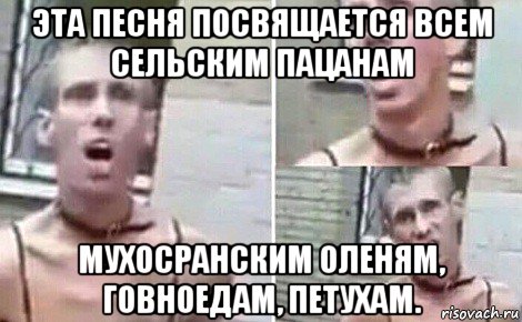 эта песня посвящается всем сельским пацанам мухосранским оленям, говноедам, петухам., Мем Панин