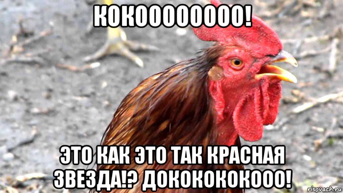 кокоооооооо! это как это так красная звезда!? дококококооо!