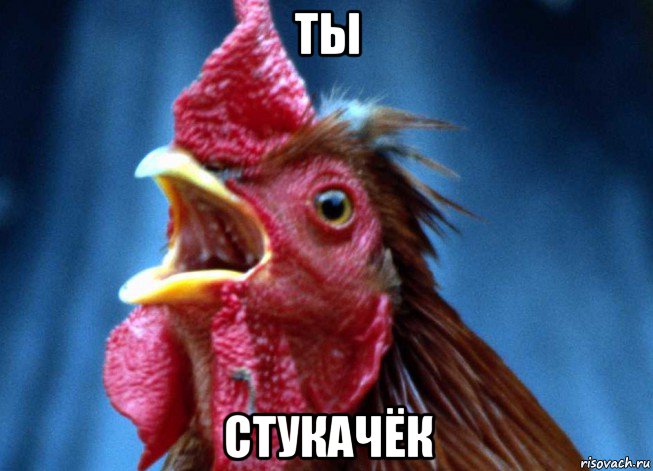 ты стукачёк