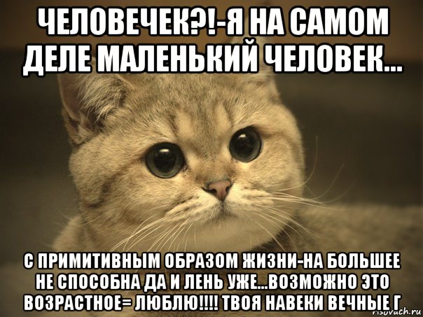 человечек?!-я на самом деле маленький человек... с примитивным образом жизни-на большее не способна да и лень уже...возможно это возрастное= люблю!!!! твоя навеки вечные г, Мем Пидрила ебаная котик