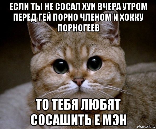 если ты не сосал хуи вчера утром перед гей порно членом и хокку порногеев то тебя любят сосашить е мэн, Мем Пидрила Ебаная