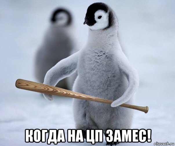  когда на цп замес!, Мем Пингвин  Гопник