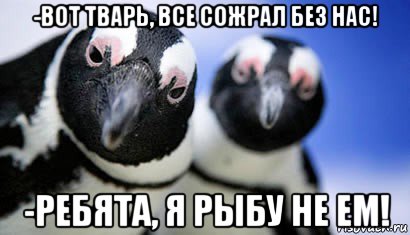 -вот тварь, все сожрал без нас! -ребята, я рыбу не ем!