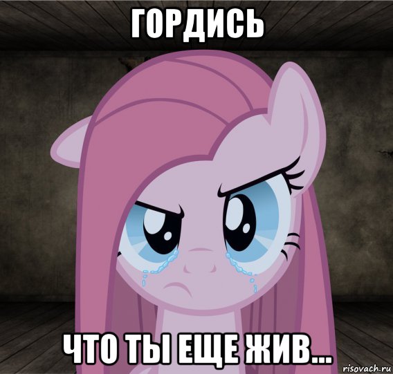 гордись что ты еще жив..., Мем Pinkamena Diane Pie