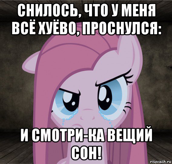 снилось, что у меня всё хуёво, проснулся: и смотри-ка вещий сон!, Мем Pinkamena Diane Pie