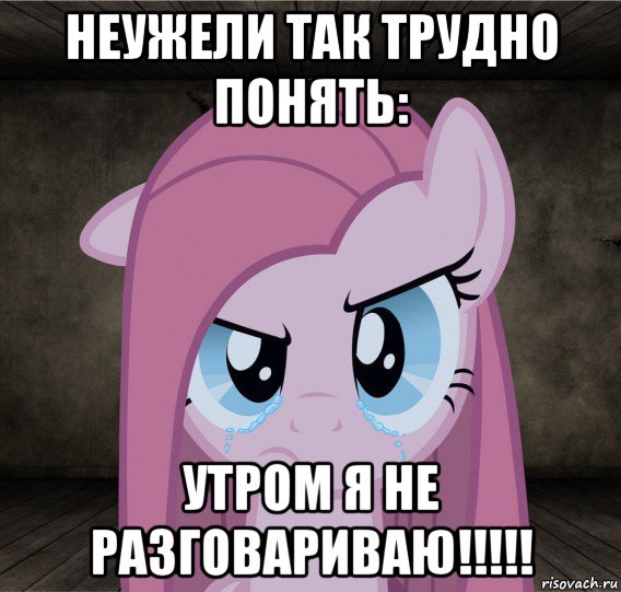 неужели так трудно понять: утром я не разговариваю!!!!!, Мем Pinkamena Diane Pie