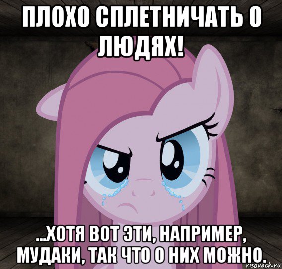 плохо сплетничать о людях! ...хотя вот эти, например, мудаки, так что о них можно., Мем Pinkamena Diane Pie