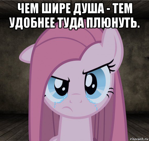 чем шире душа - тем удобнее туда плюнуть. , Мем Pinkamena Diane Pie