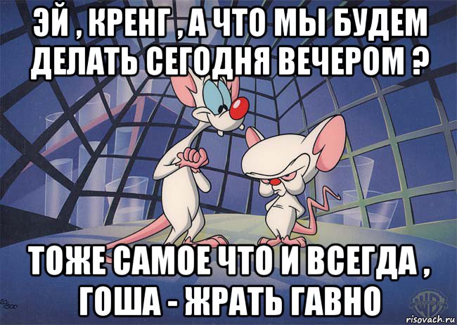 эй , кренг , а что мы будем делать сегодня вечером ? тоже самое что и всегда , гоша - жрать гавно, Мем ПИНКИ И БРЕЙН