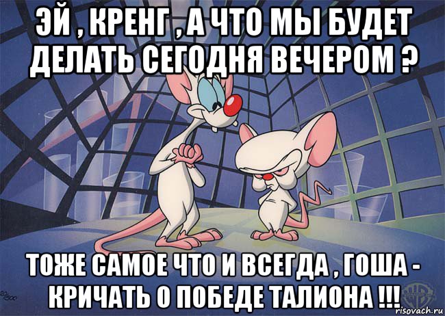 эй , кренг , а что мы будет делать сегодня вечером ? тоже самое что и всегда , гоша - кричать о победе талиона !!!