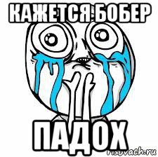 кажется бобер падох