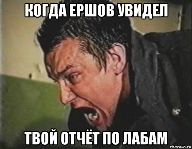 когда ершов увидел твой отчёт по лабам