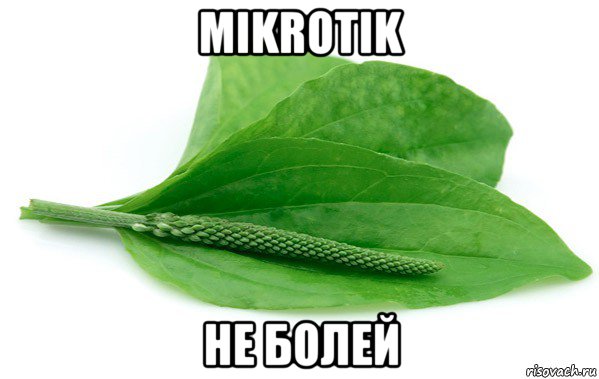mikrotik не болей