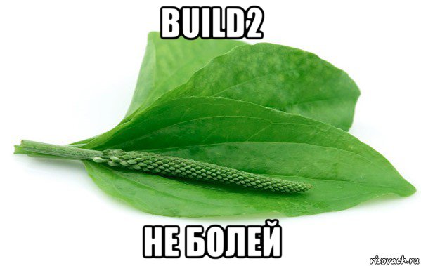 build2 не болей