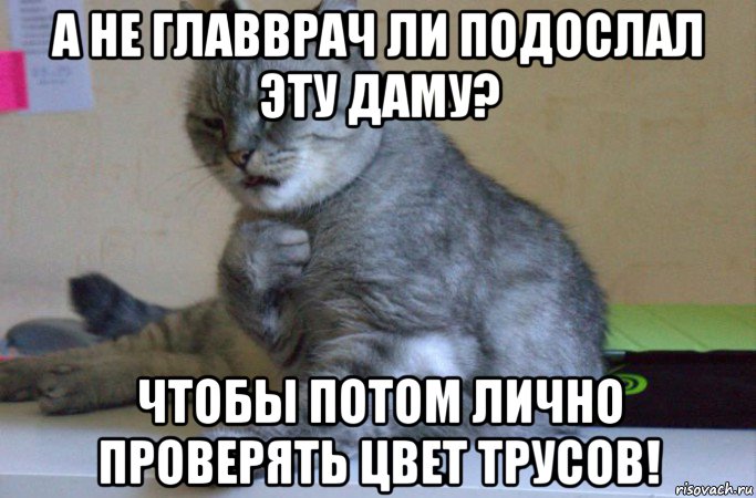 а не главврач ли подослал эту даму? чтобы потом лично проверять цвет трусов!, Мем подозрительно