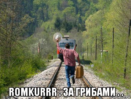  romkurrr . за грибами . ., Мем Поезд