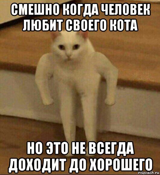 смешно когда человек любит своего кота но это не всегда доходит до хорошего, Мем  Полукот