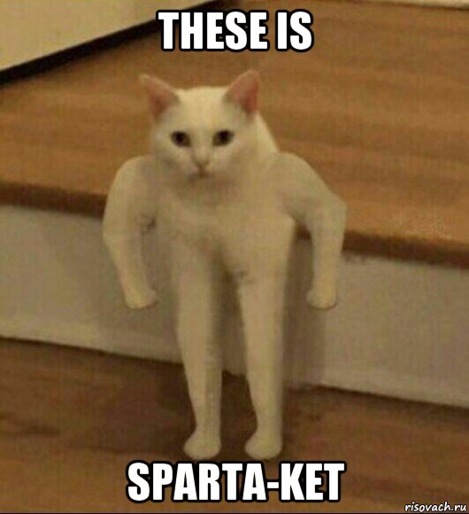these is sparta-ket, Мем  Полукот