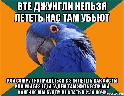 вте джунгли нельзя лететь нас там убьют или сожрут ну придёться в эти лететь как айсты или мы без еды будем там жить если мы конечно мы будем не спать в 2:38 ночи, Мем Попугай параноик