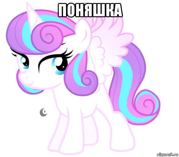 поняшка 