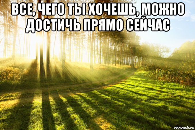 все, чего ты хочешь, можно достичь прямо сейчас , Мем Просека