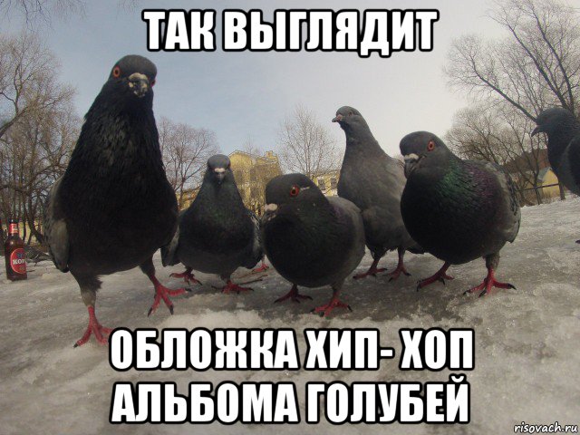 так выглядит обложка хип- хоп альбома голубей