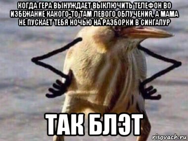 когда гера вынуждает выключить телефон во избежание какого-то там левого облучения, а мама не пускает тебя ночью на разборки в сингапур так блэт