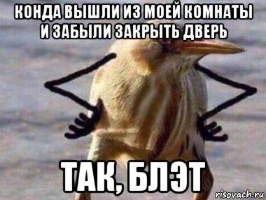 конда вышли из моей комнаты и забыли закрыть дверь так, блэт