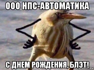 ооо нпс-автоматика с днем рождения, блэт!